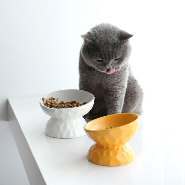 Candy Papper Cat Bowl